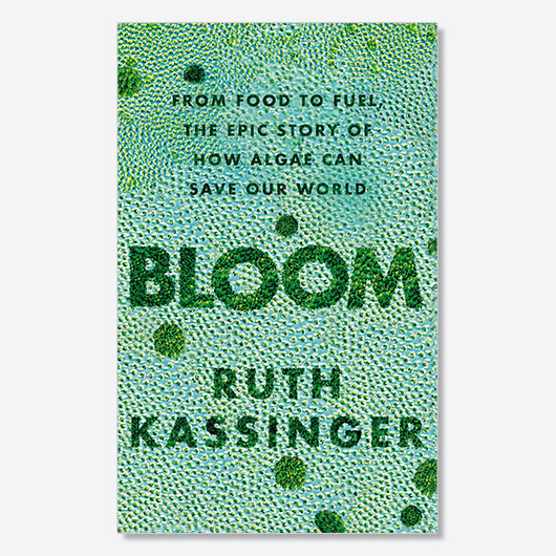 Three kinds of algae? Blooming marvellous news!