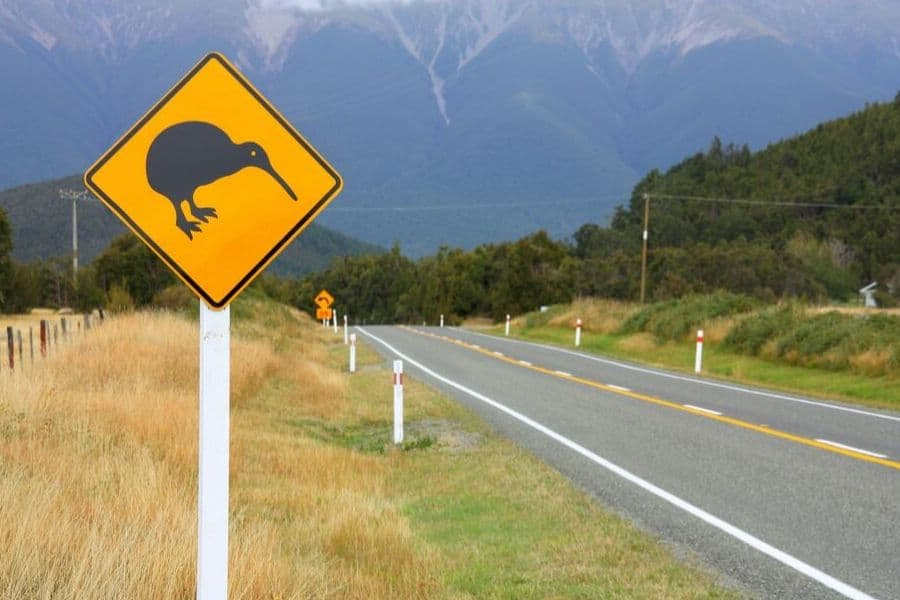 How do alien pathogens make inroads into native plant networks?