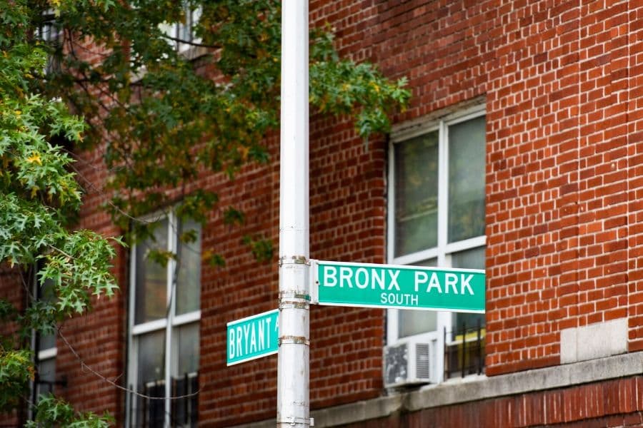 A school curriculum could make New York City seem less grey and more green