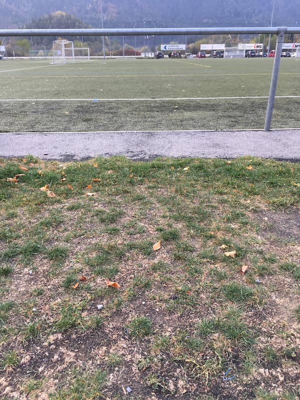 Microplastic infill for artificial turfs harms grassland species