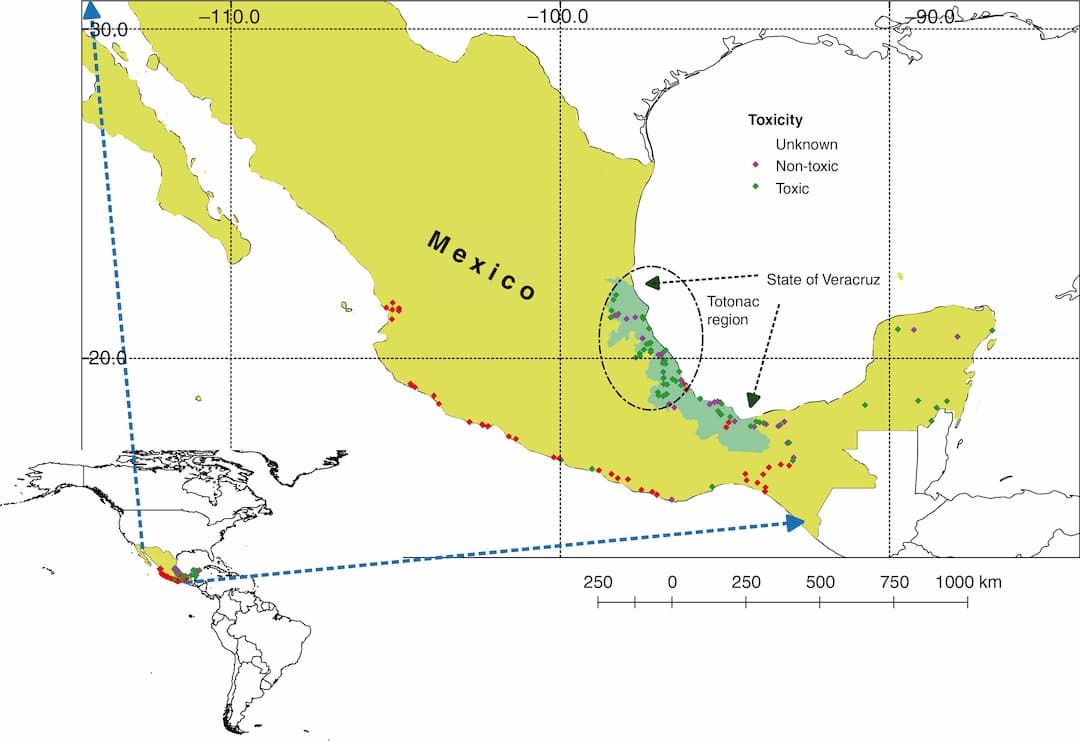 Cultivation of Jatropha shows the importance of conservation