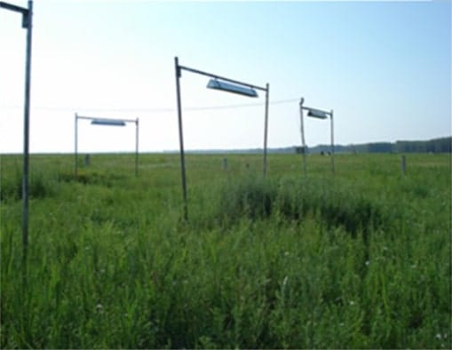 Effect of simulated warming on Leymus chinensis grasslands of northeast China