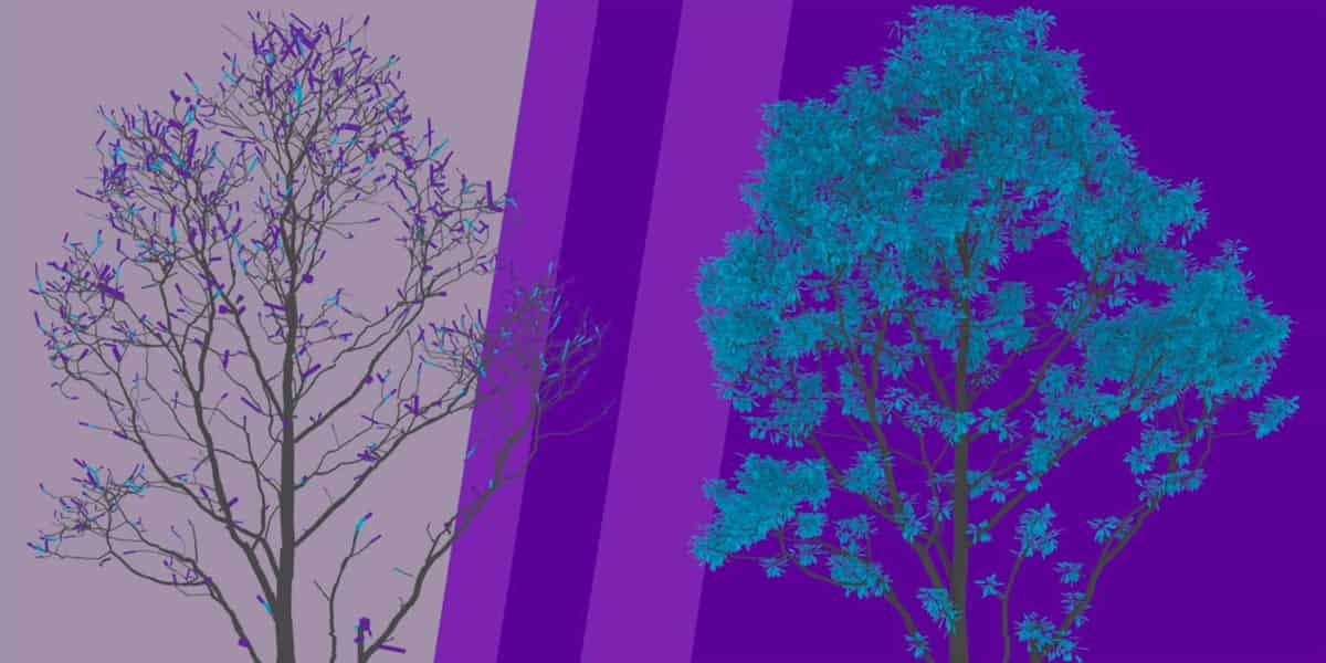 Call for Papers for Annals of Botany: 3D forest models and laser scanning data