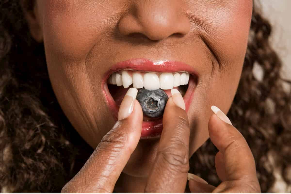 The tale (or phenology) of two wild blueberries in Canada