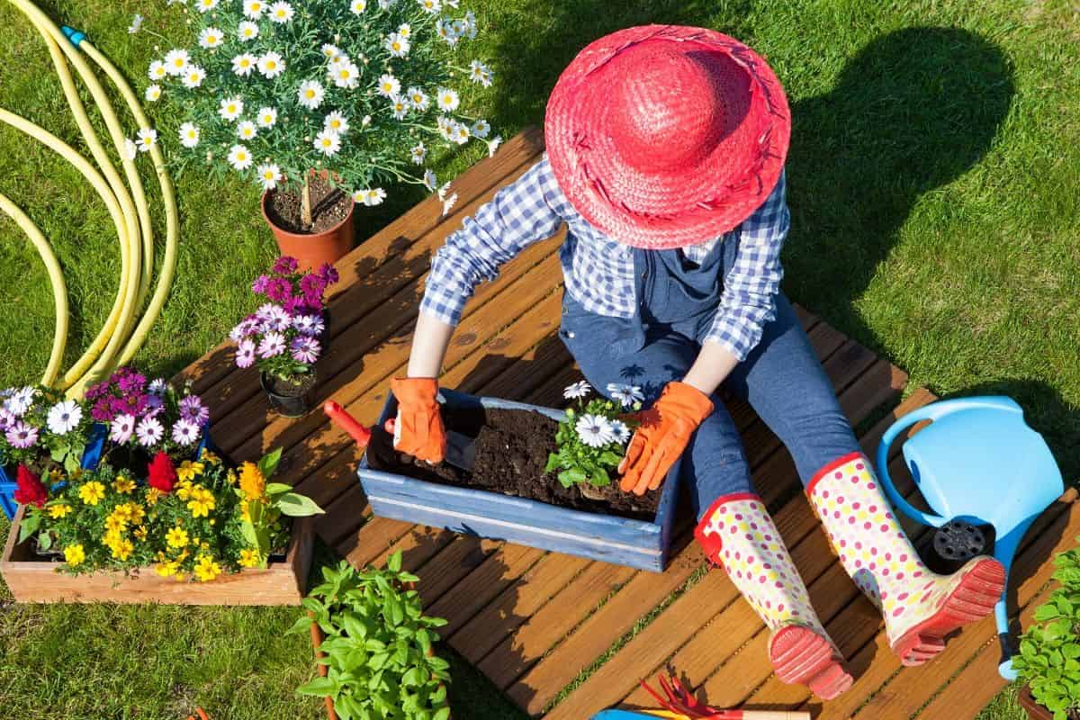 Scientific study shows you can garden your way to health