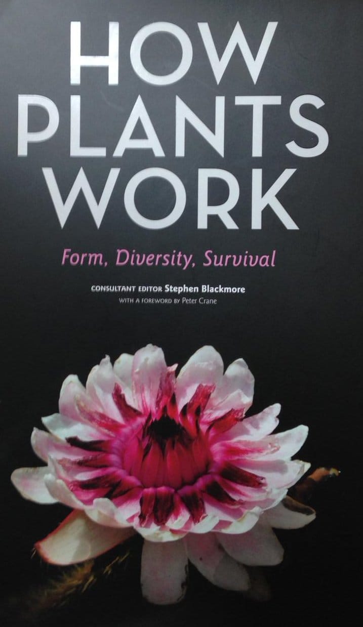 How do plants work?