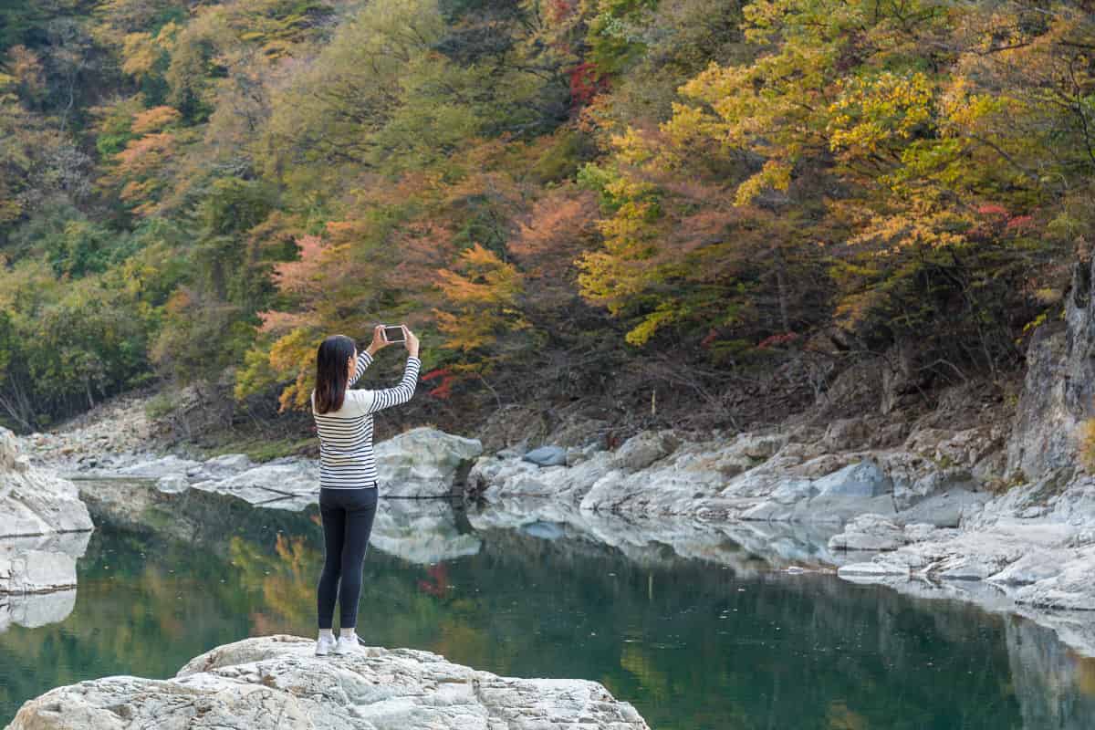 You get a better model of the forest when you look at the individual trees