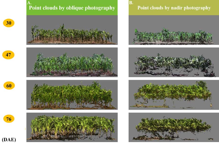 Positions matter: drones using nadir and oblique photography on maize fields