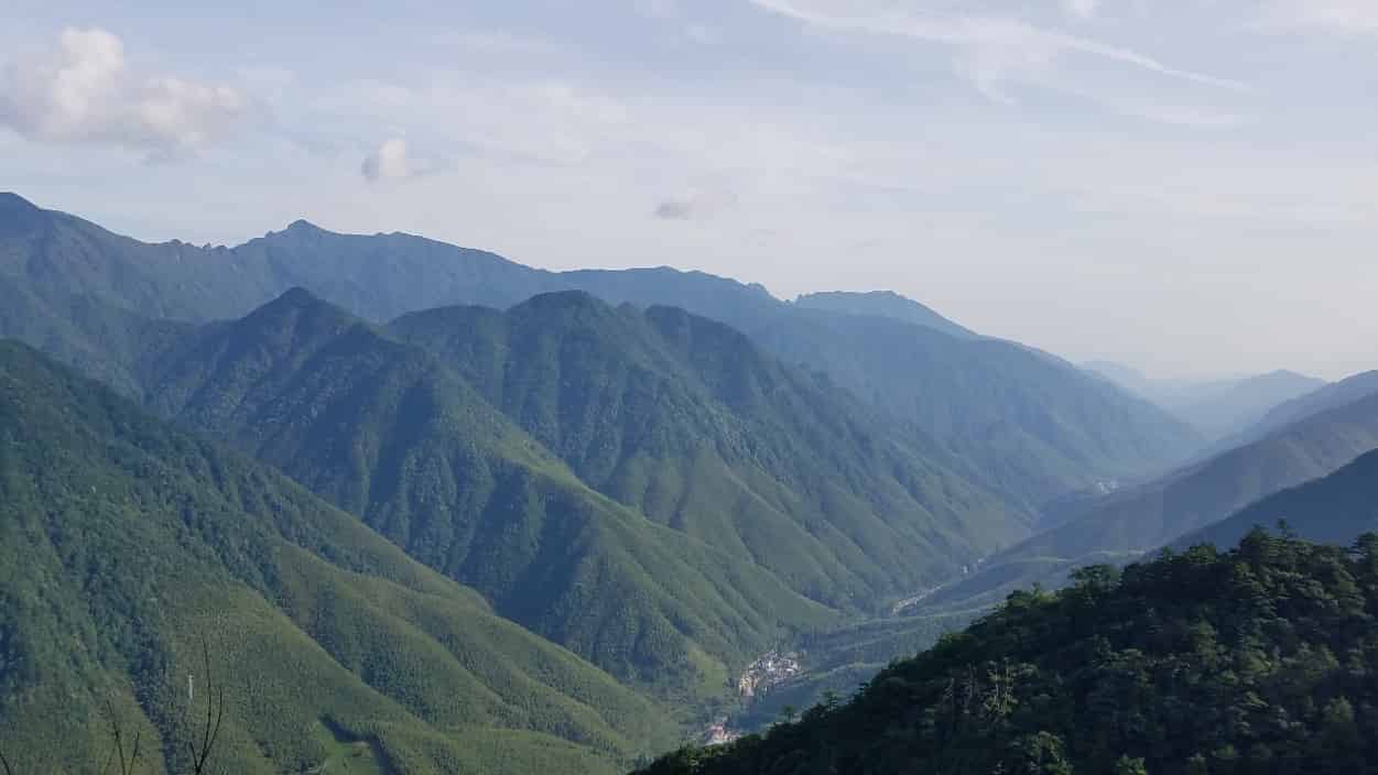 Convergent nitrogen–phosphorus scaling relationships in different plant organs