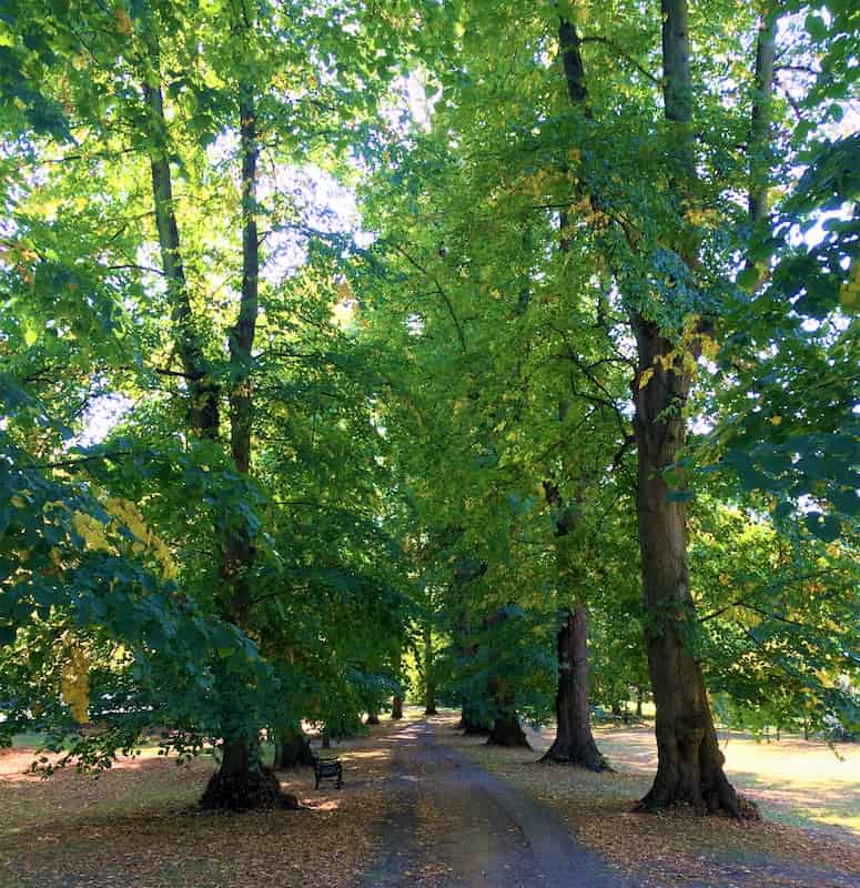 Creating the conservationists of the future in times of rapidly shifting baselines