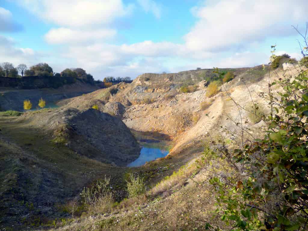 Restoring “No Man’s Land” with native mycorrhizal fungi and plant seed mixtures