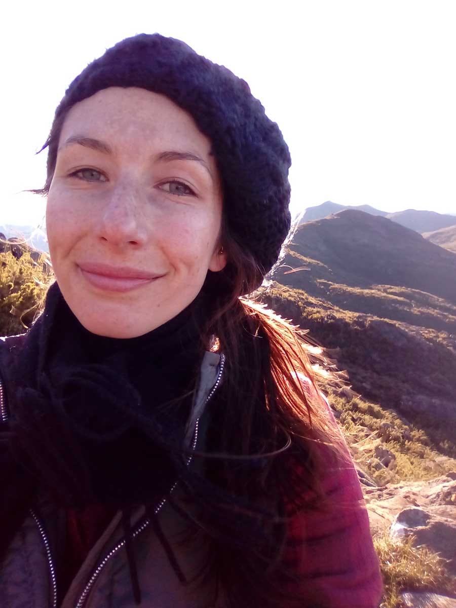 The effects of heterospecific pollen deposition on pollen-tube growth