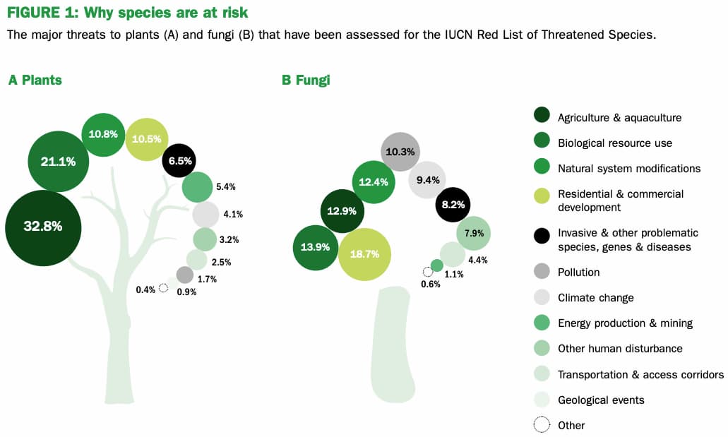 State of the World’s Plants and Fungi:  2 in 5 plants are threatened by extinction (Part 2)