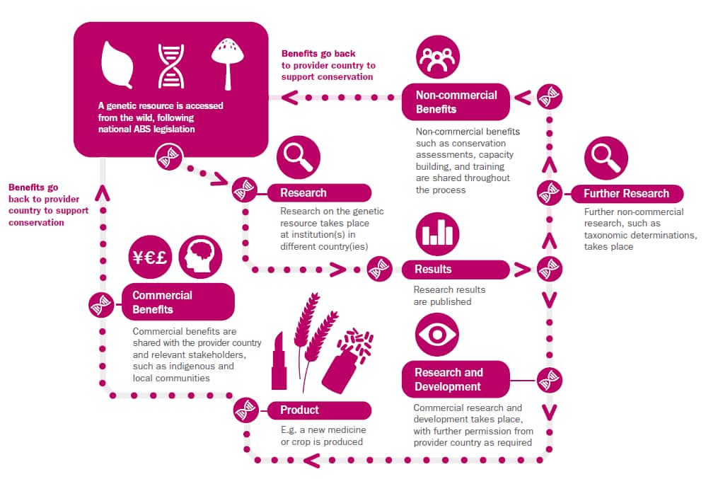 State of the World’s Plants and Fungi: Does conservation policy help or hinder scientific research?