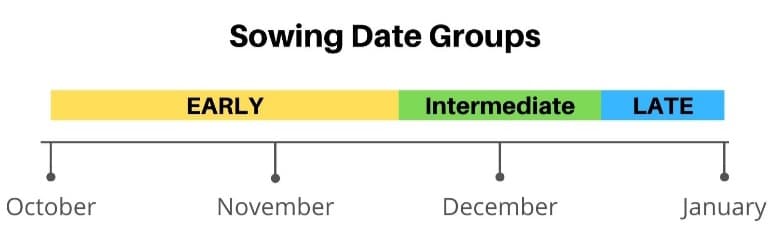 Reducing sorghum water stress during drought