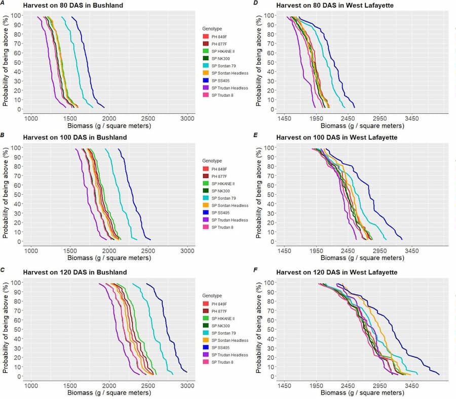 Computer models using remote sensing data accurately predict crop yield