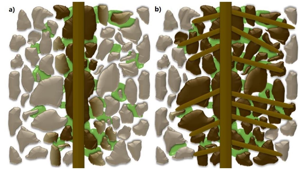 Root hairs more important than root exudate in rhizosheath formation
