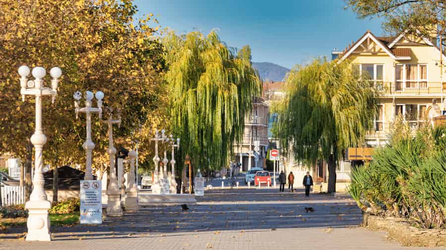 How big is that tree? Estimations are tricky but Terrestrial Laser Scanning helps!