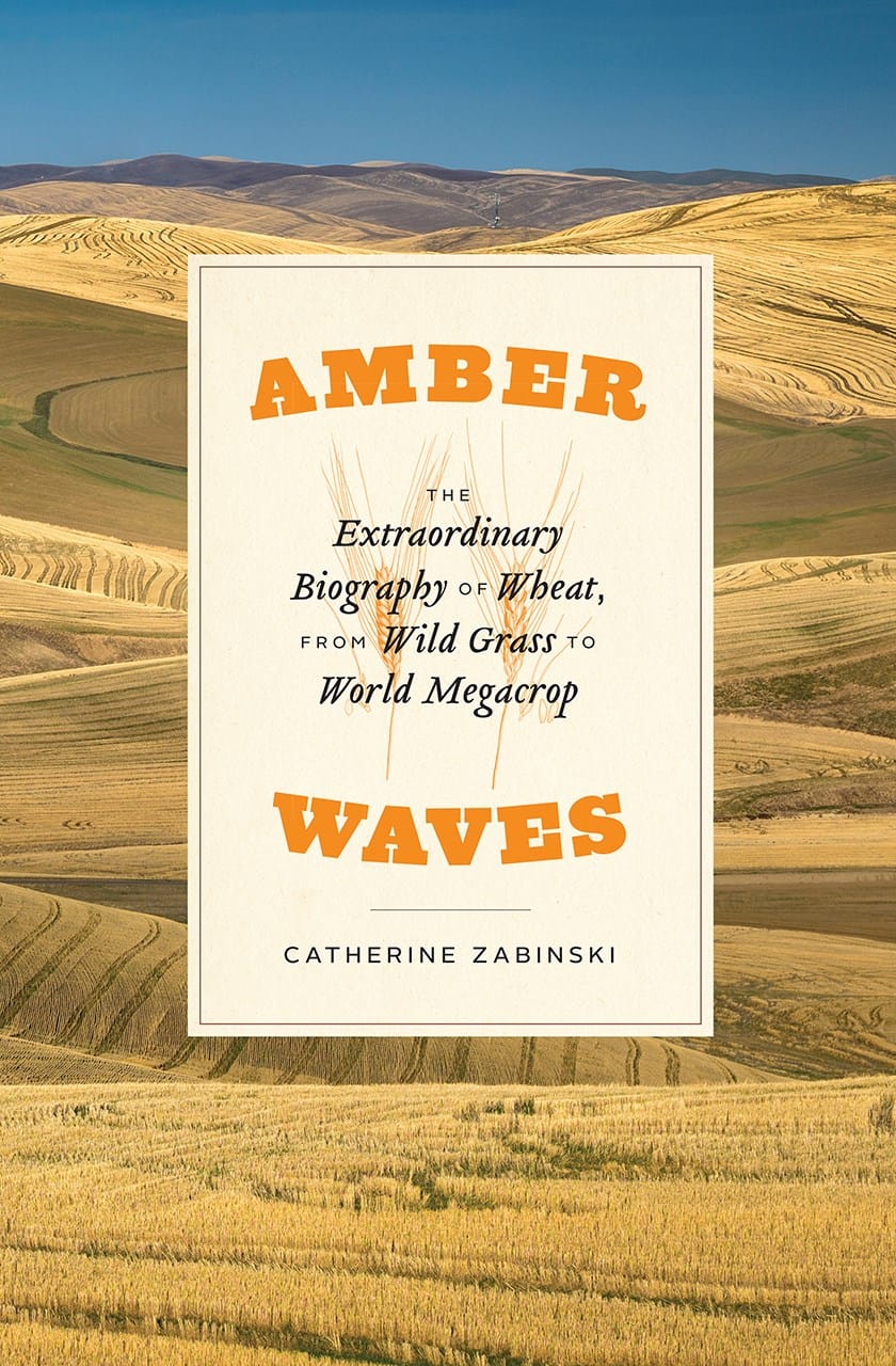 Cereal thriller brings home the bacon*