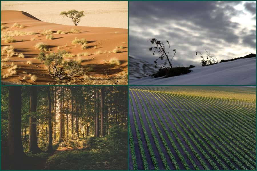 New AoBP section, Molecular Function and Environment