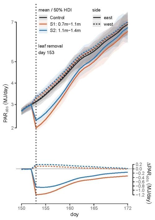 Absorbed PAR (PARabs) per vine and the 50 % highest density interval