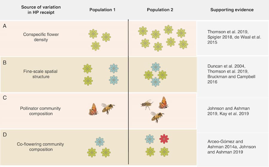 What happens when pollinators bring the wrong pollen?