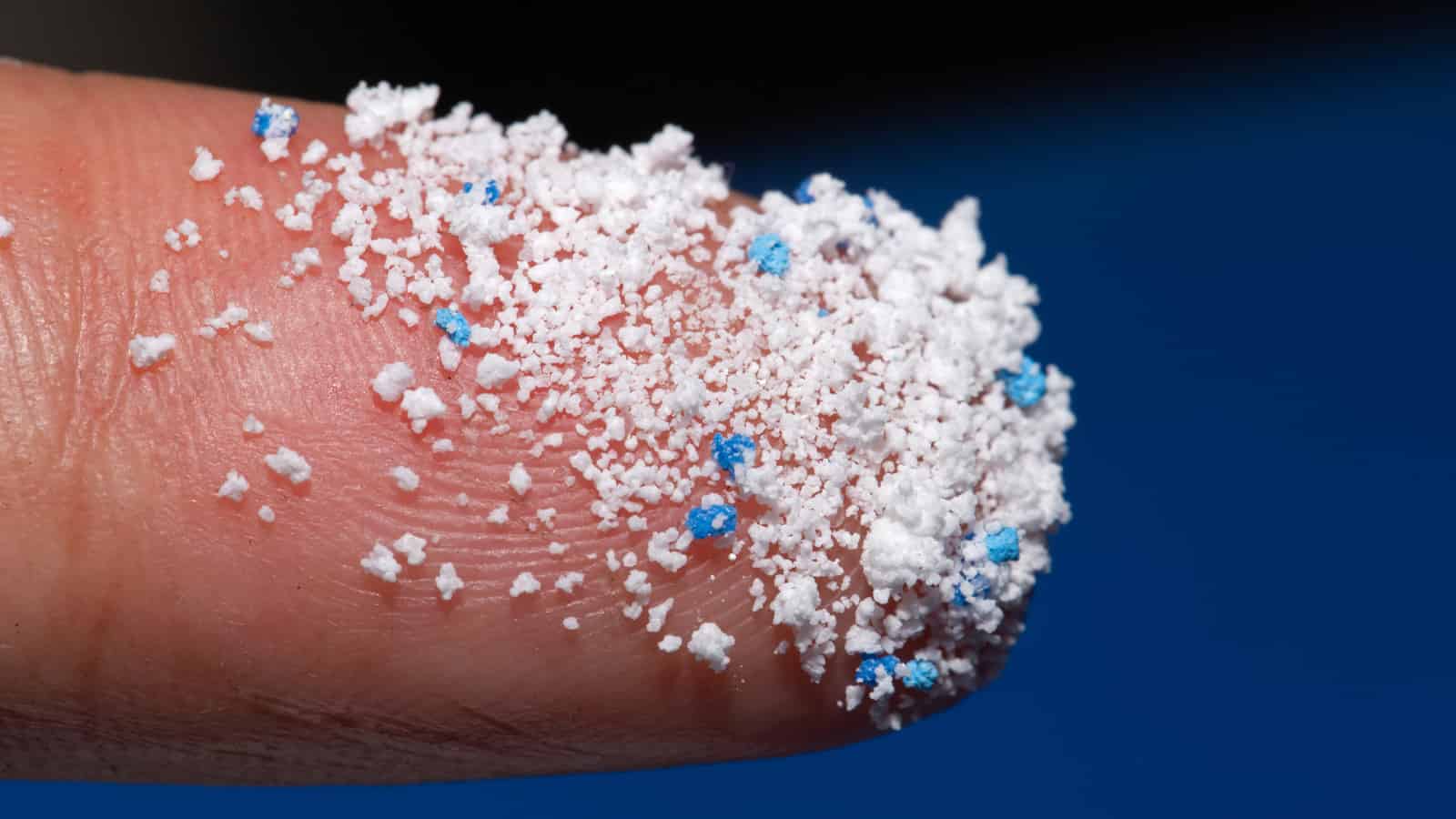 Can Botany help remove microplastics from the environment?