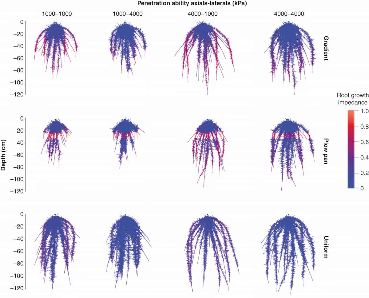 Soil compaction and nitrate capture
