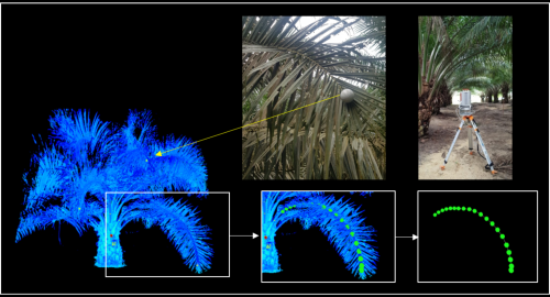 Using models to optimize planting density