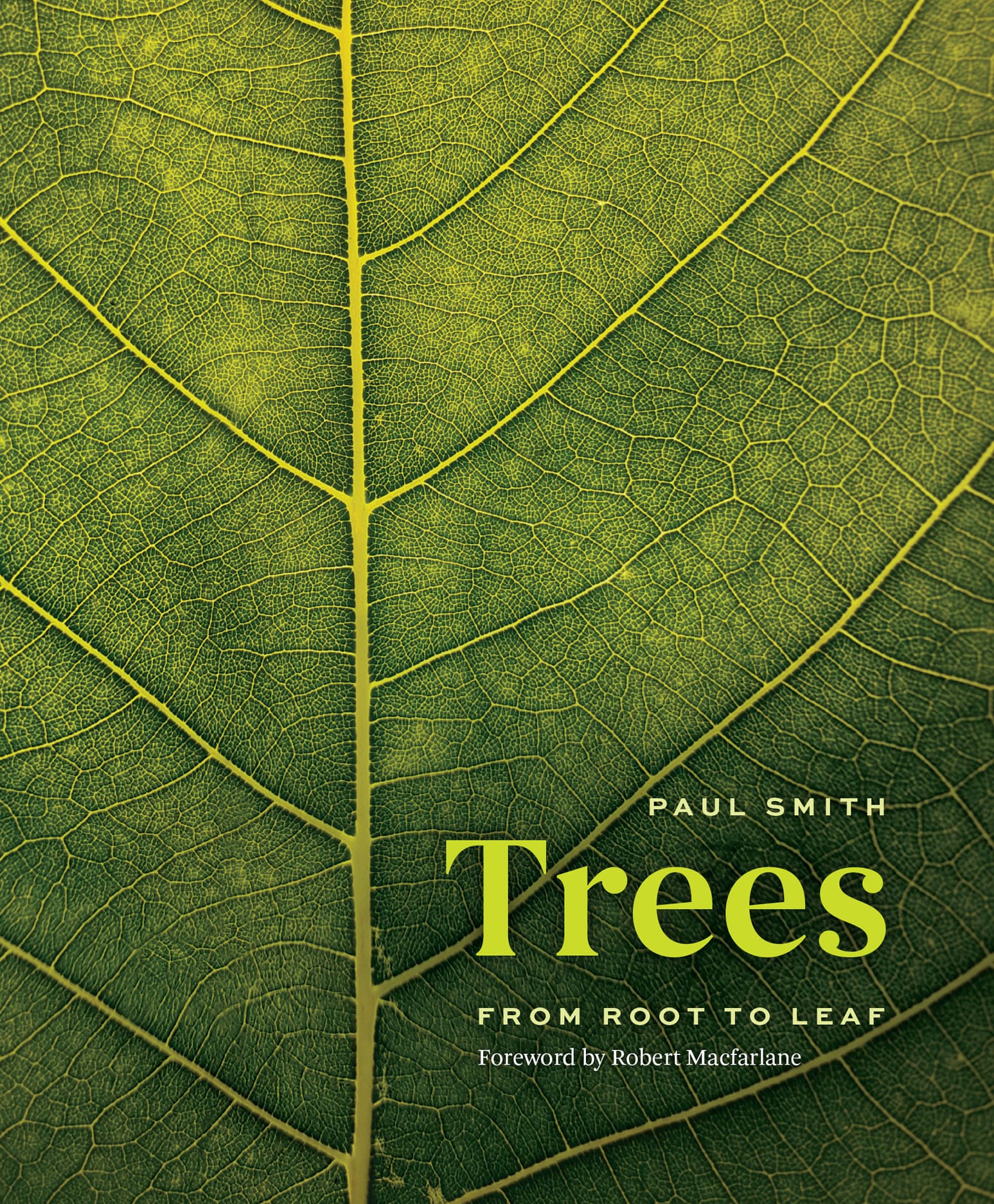An extraordinary book about trees (and people)