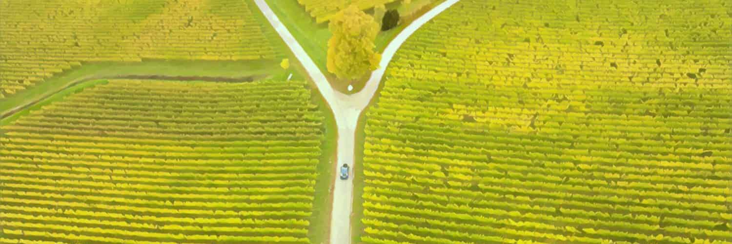 A car travelling in on a road among fields.