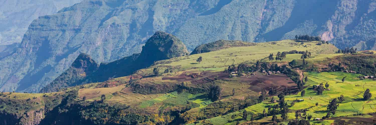 Crop Diversity Surprisingly Stable in Ethiopia Despite New Introductions