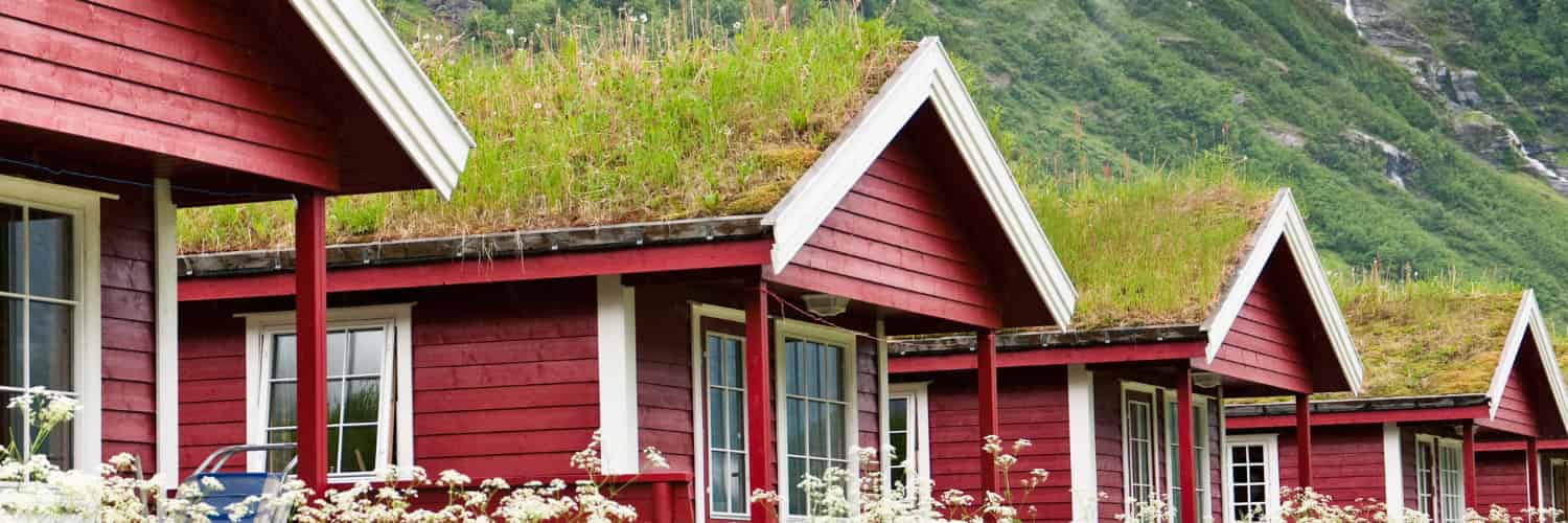 A photo of wooden houses in Norway, with grassy roofs.
