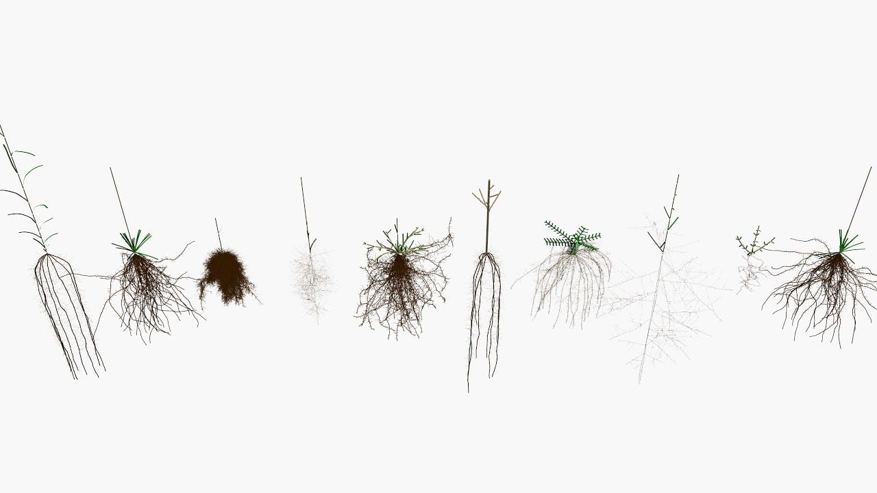 Introducing the new CPlantBox