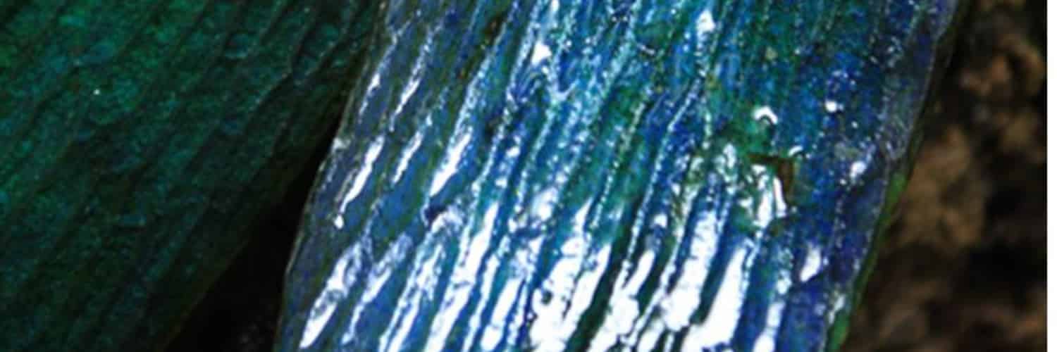 A highly magnified blue leaf.