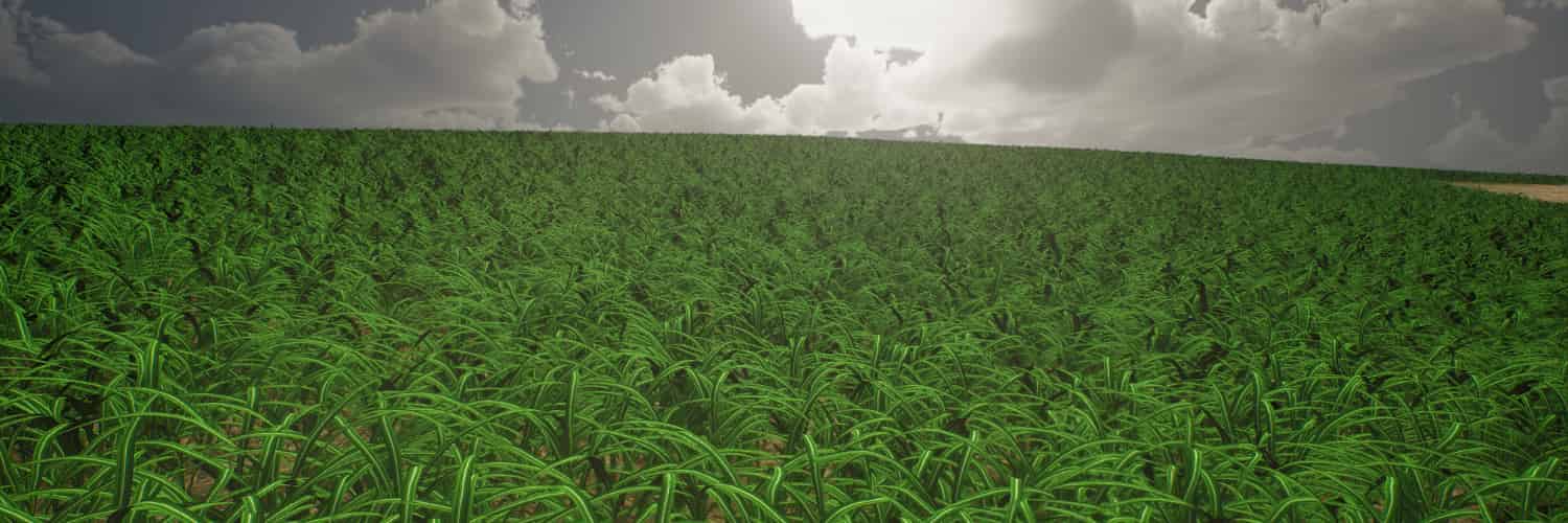 Harnessing the Power of Synthetic Data for Deep Learning Image Analysis