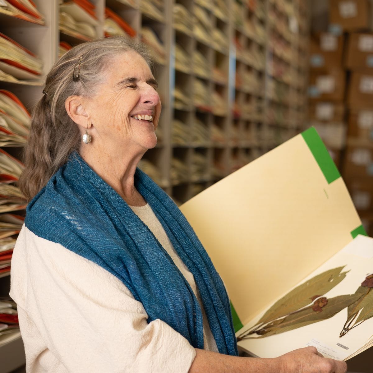 Charlotte Taylor: “Looking at Plants is Never Boring and Endlessly Fascinating”