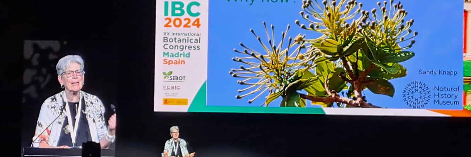 Sandy Knapp opens the IBC in Madrid.