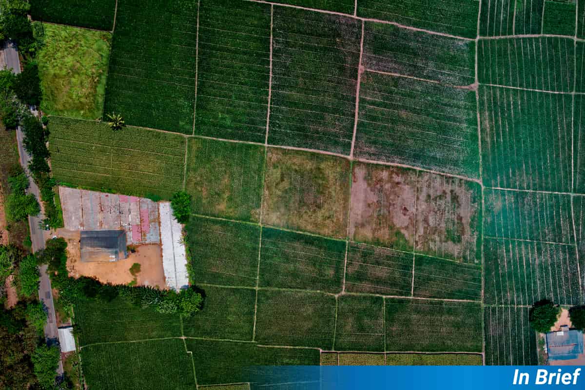Aerial view of fields.