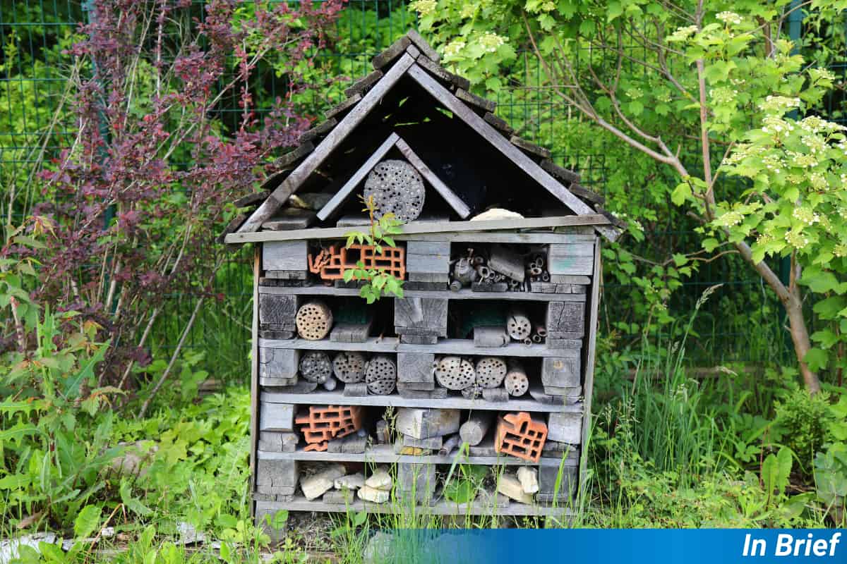 A bug hotel in what does not look like a lawn, but gets across the idea of a home for pollinators.