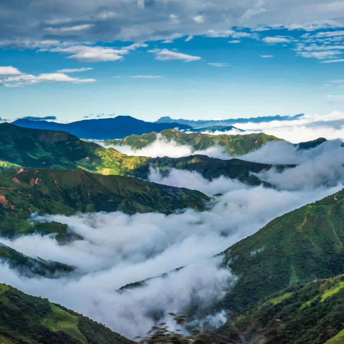 Clouds filling the valleys and hiding trees in an Ecuadorean forest.
