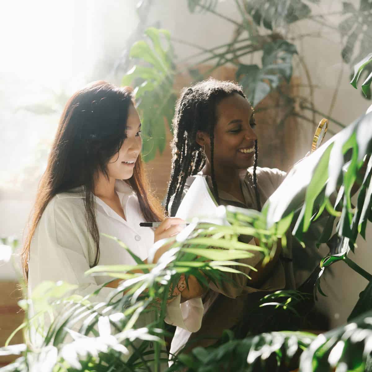 Two young women examine tropical leaves, but which is the botanist.