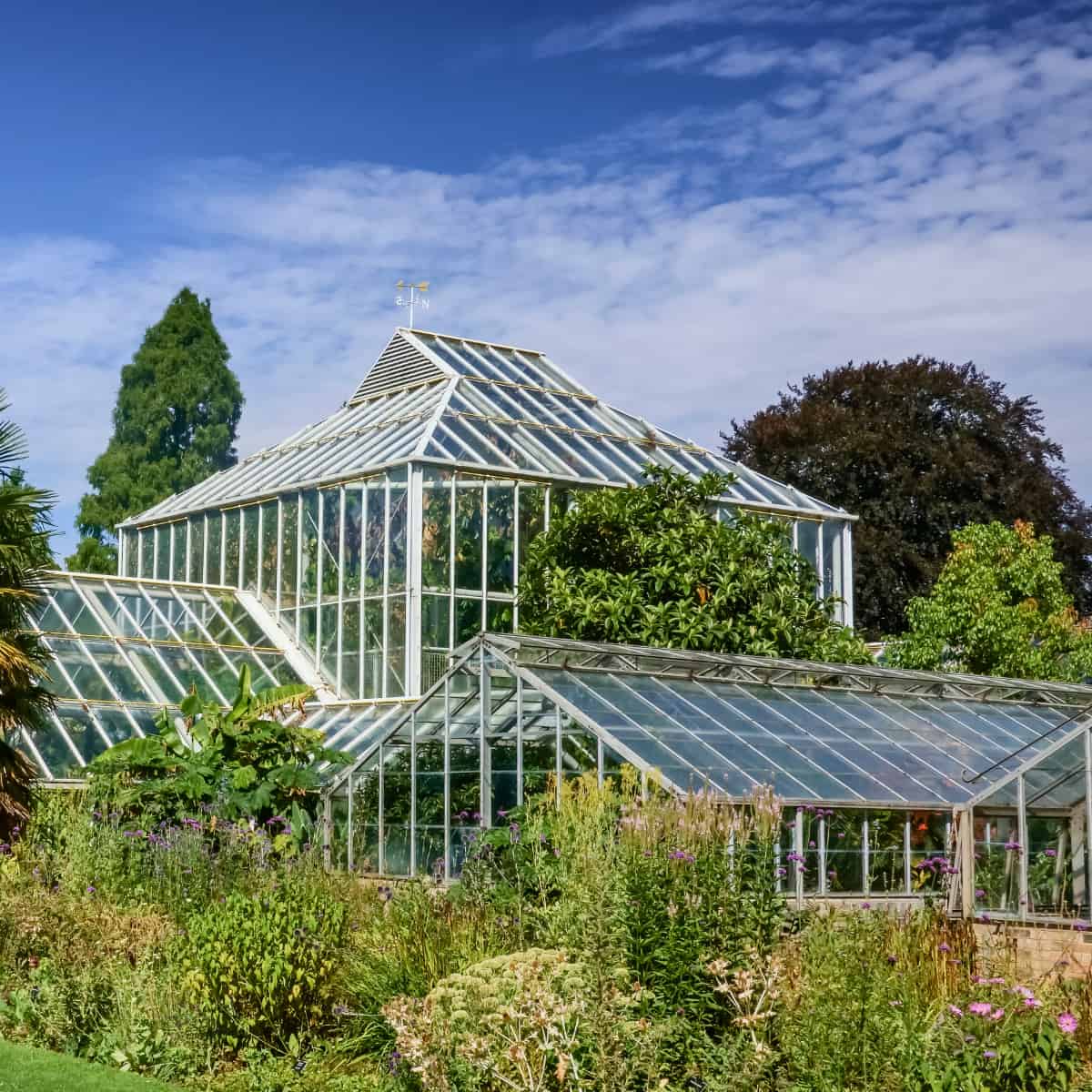 A greenhouse in a very full-looking Cambridge Botanic Garden.