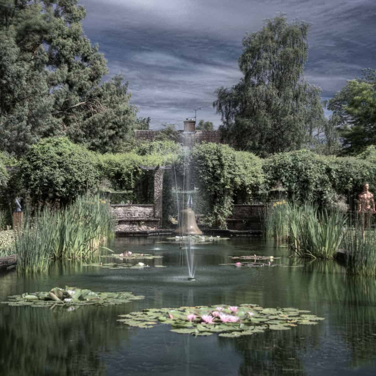 A hybrid photo of a pool at Leicester Botanic Garden. The HDR photo is overlaid with an infrared photo, to give an unearthly