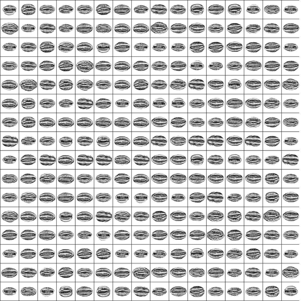 Synthetic Stomata: Leveraging Artificial Imagery for Improved Stomatal Analysis