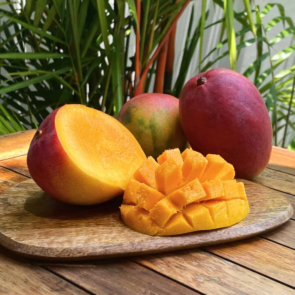 A mango, included as the feature image for no readily apparent reason.
