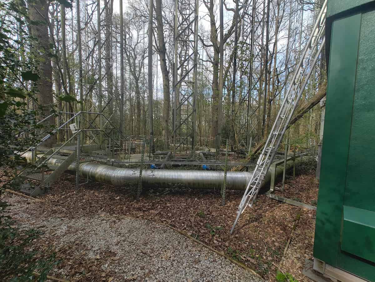A pipe carrying CO2 through a forest.