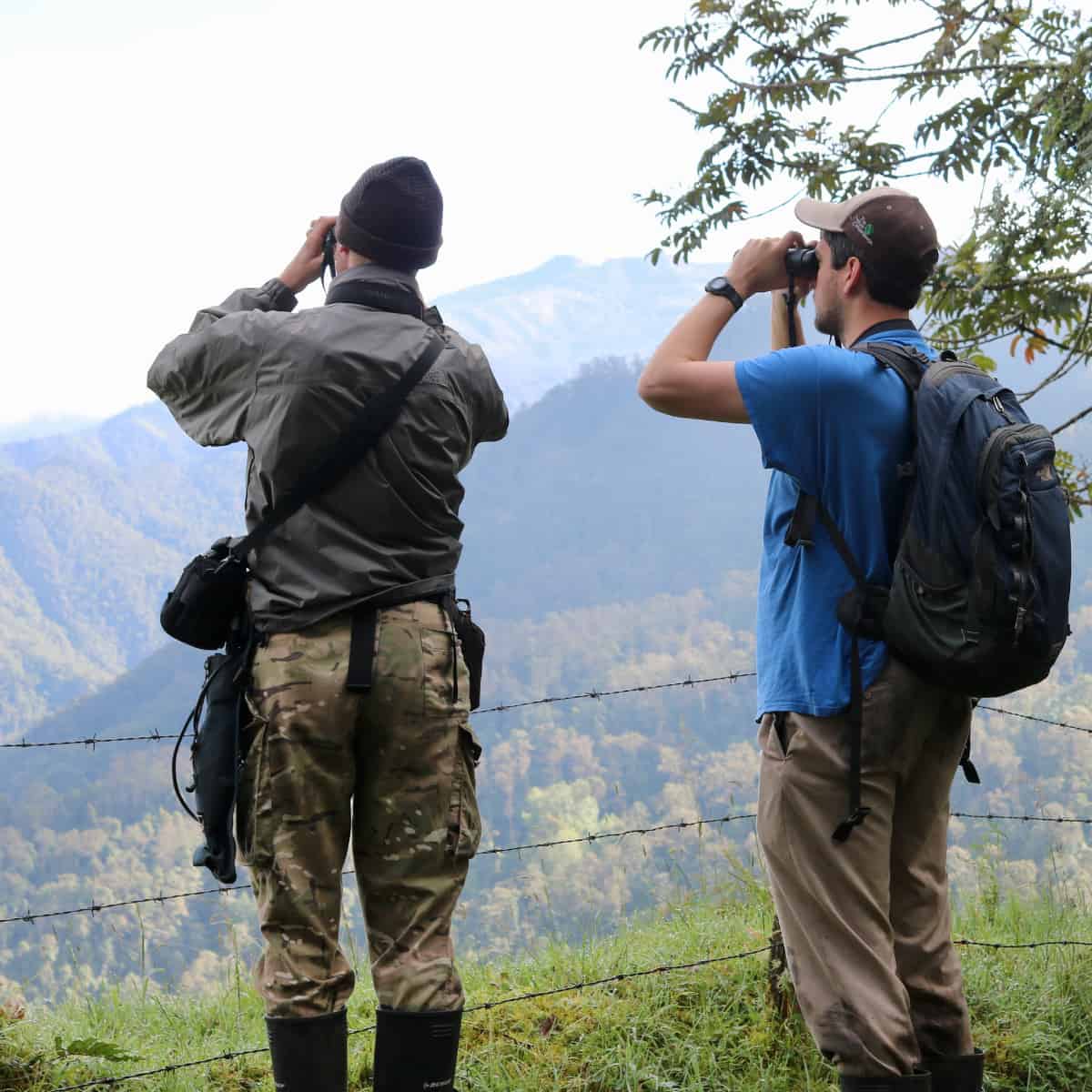 Silence of the Llanos