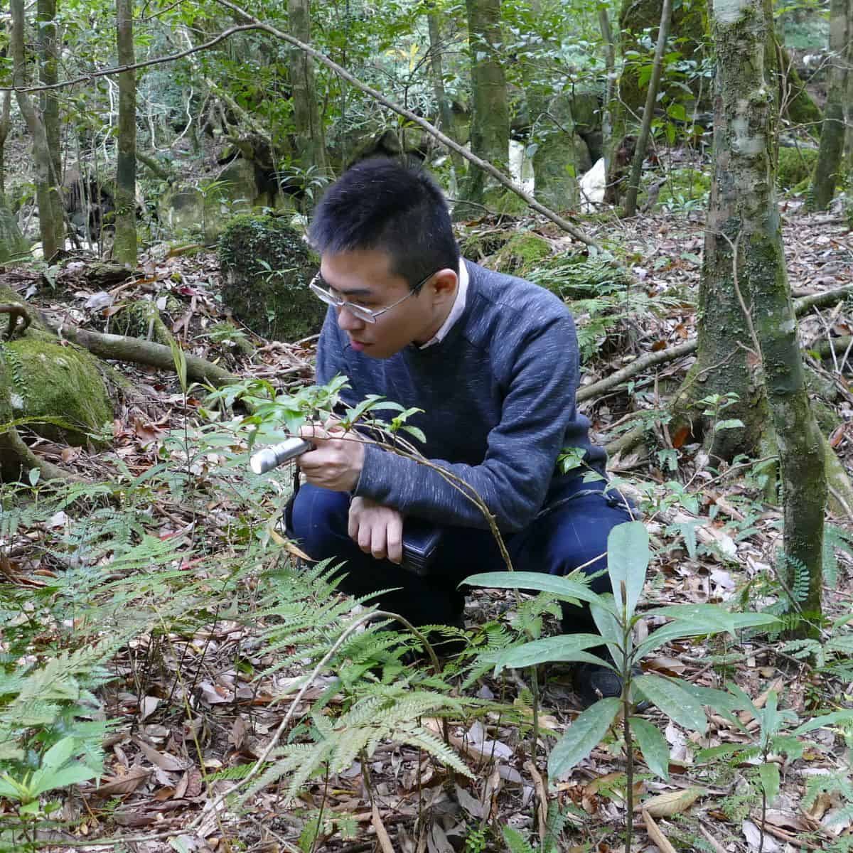 A researcher in glasses and a dark blue sweater crouches in a dense forest environment, examining plants with a handheld magn