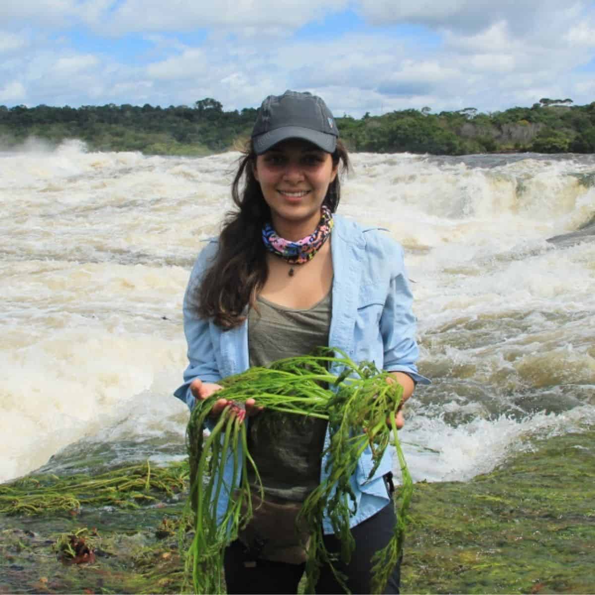 A researcher stands in front of a river white with rapids, holding lush green vegetation in her hands.